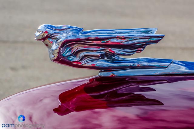 Photographing Car Emblems