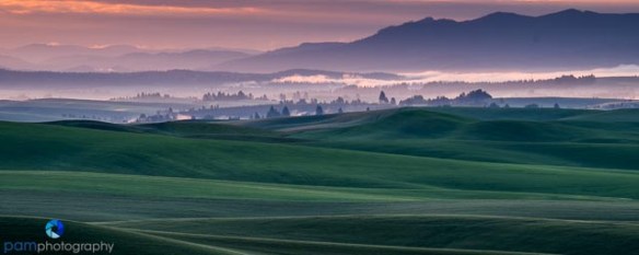 Sunrise over Palouse Field
