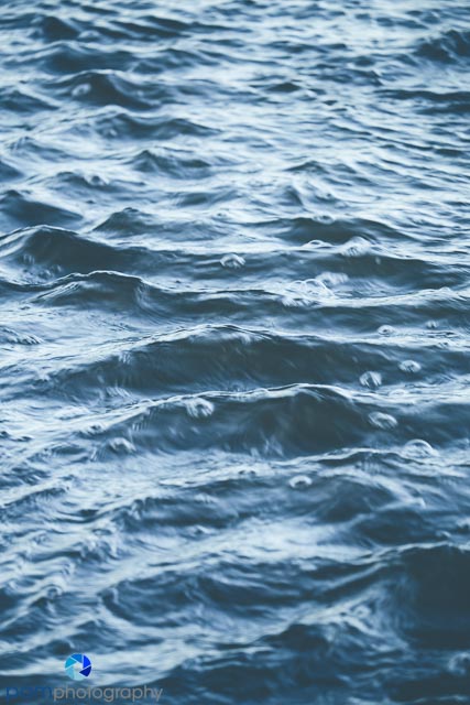 1412_MFA_California_0007