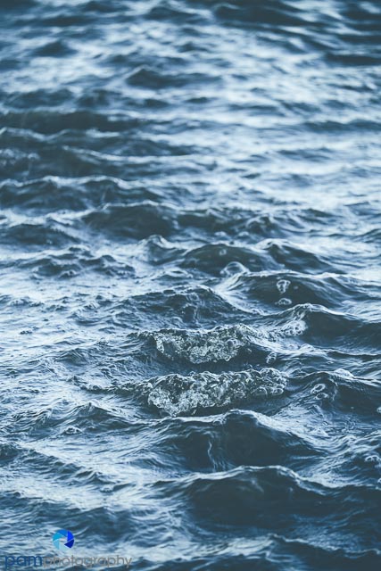 Photography Project:  Processing Using a Mat&nbsp;Style