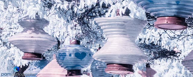 Photography Project:  Photographing Disneyland in&nbsp;Infrared