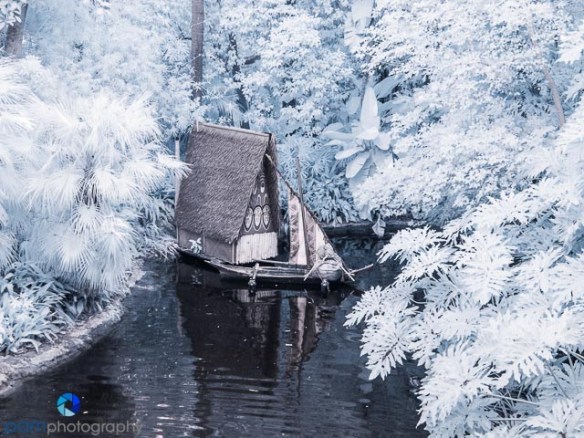 1412_MFA_Disney Infrared_014