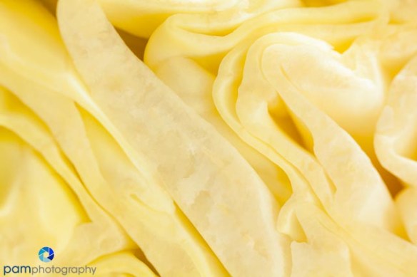 Plain cabbage abstract