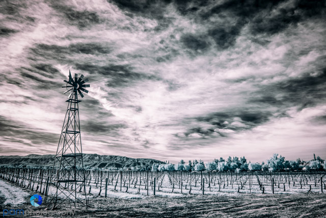 Temecula Vineyards in&nbsp;Infrared