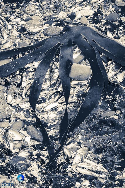 1505_MFA_Olympic_0571