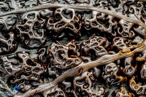 1505_MFA_Olympic_0578