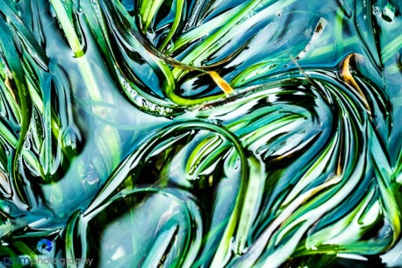 1505_MFA_Olympic_0591