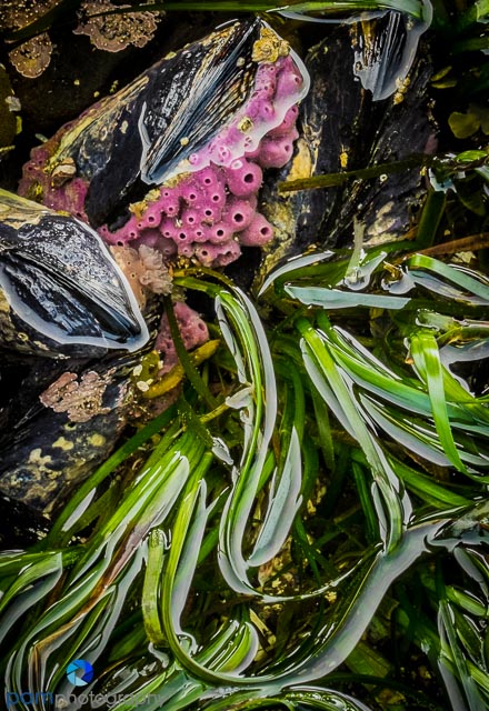 1505_MFA_Olympic_0598