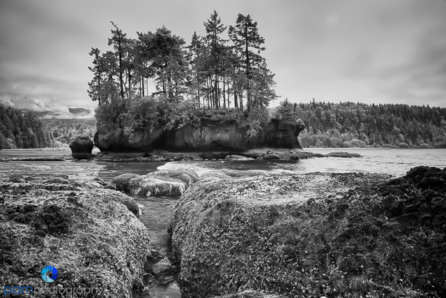Visions of Tongue Point, WA – He saw. She&nbsp;saw.