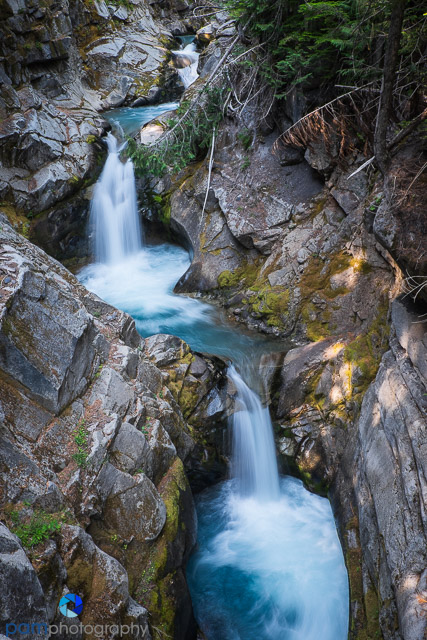 1508_PSA_Rainer IR_0017