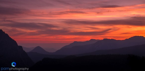 1508_PSA_Rainer IR_0025