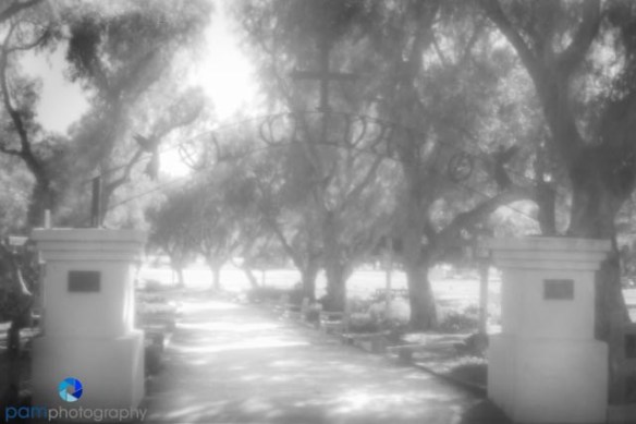 Pinhole Photography - cemetery gate