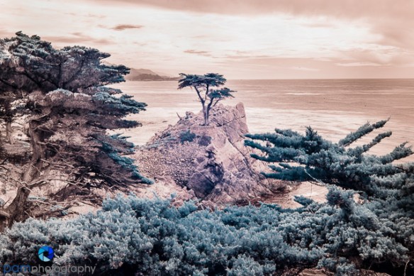 1509_MFA_Pebble_Infrared_507
