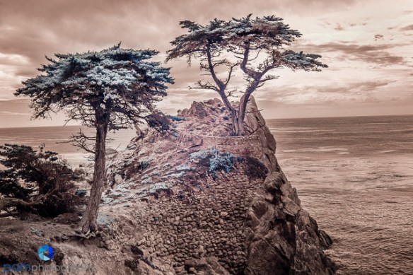 1509_MFA_Pebble_Infrared_515