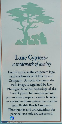 1509_PSA_Pebble Beach_536