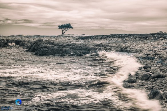 1509_PSA_Pebble_infrared_558-Edit