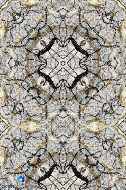 Symmetrical Abstract