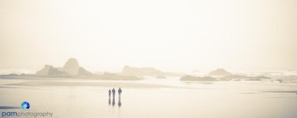 Olympic National Park