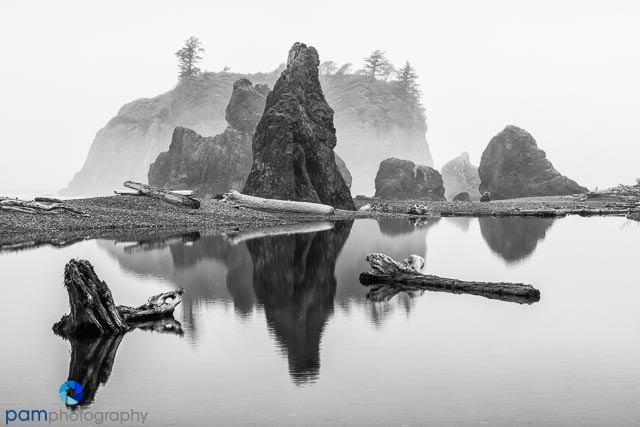 Mary’s Top 10 Photos from&nbsp;2015