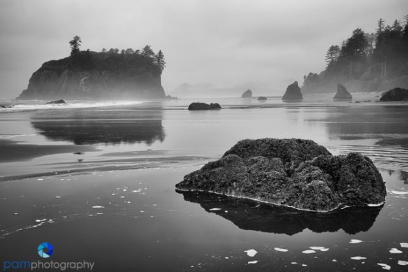 1505_PSA_Olympic_0107-Edit