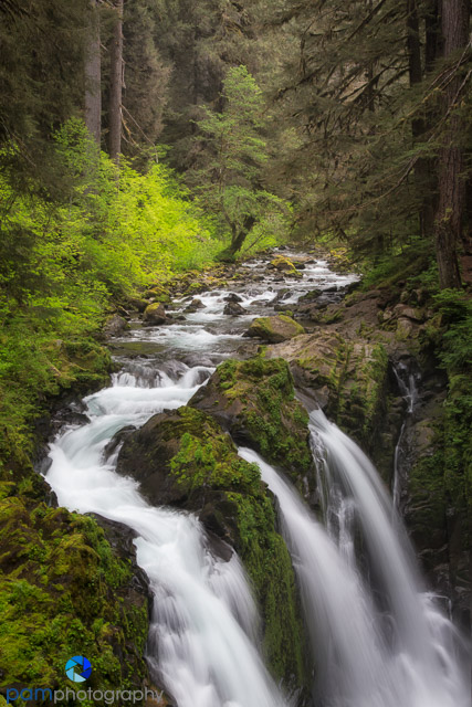 #8 Sol Duc Falls, Olympic National Park, WA