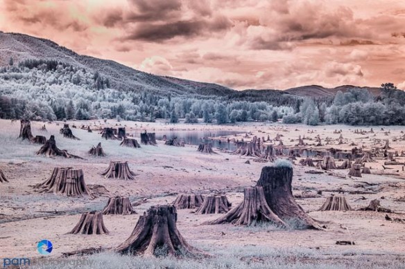 Dry Lake near Mt Rainer