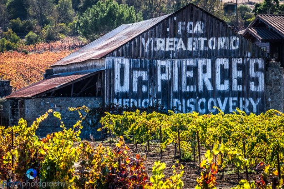 1511_PSA_Healdsburg_107