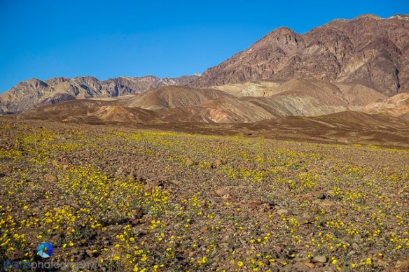 1602_PSA_Death Valley_041