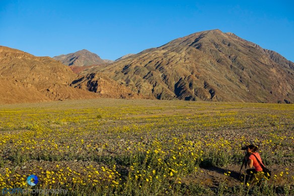 1602_PSA_Death Valley_042