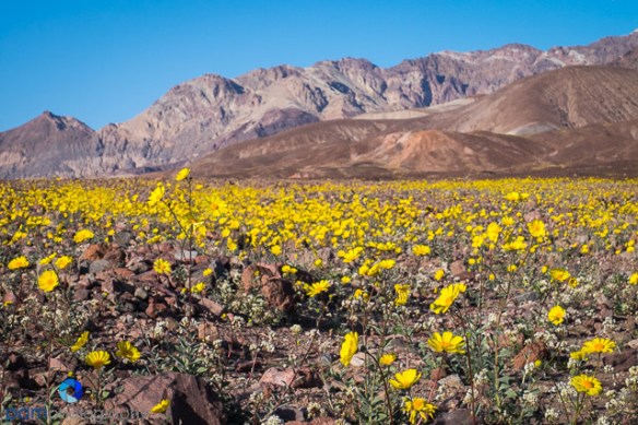 1602_PSA_Death Valley_044