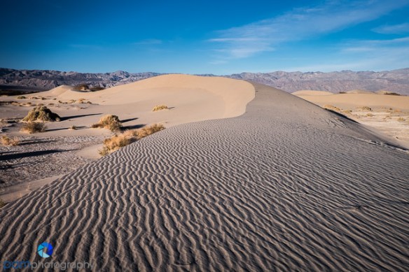 1602_PSA_Death Valley_059