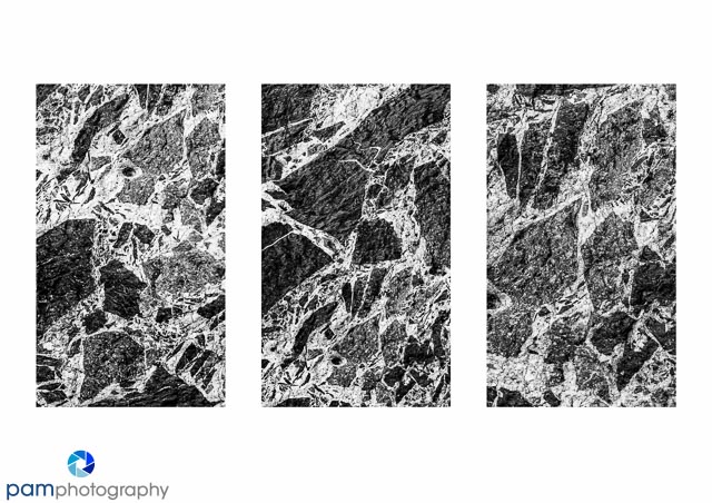 Photography Project:  Creating Natural&nbsp;Abstracts