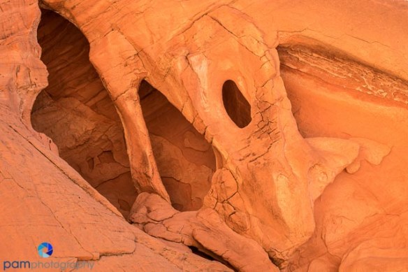 1512_MFA_Valley of Fire_017
