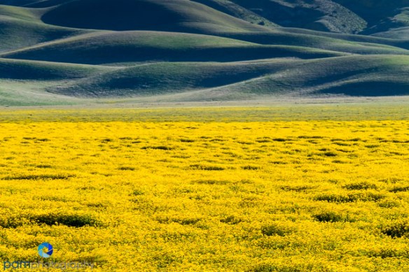 1603_MFA_Carrizo_030