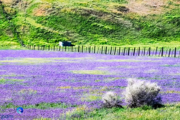 1603_MFA_Carrizo_125-Edit