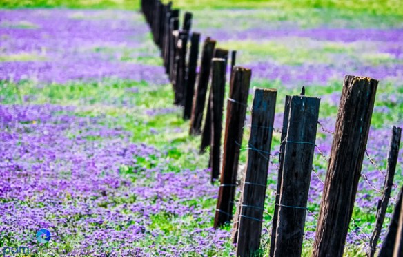 1603_MFA_Carrizo_131-Edit