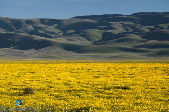 1603_PSA_Carrizo_014-Edit