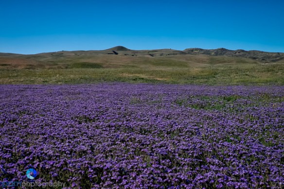 1603_PSA_Carrizo_054-Edit