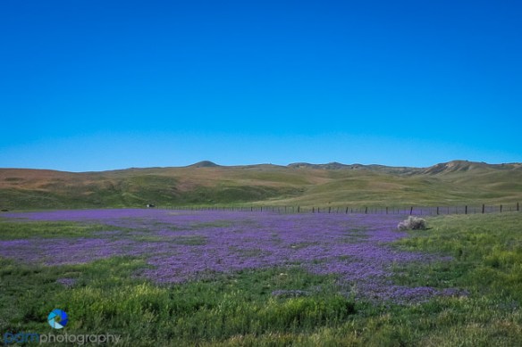 1603_PSA_Carrizo_060