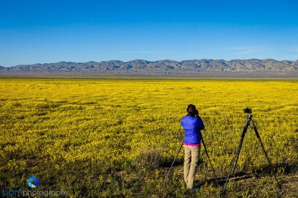 1603_PSA_Carrizo_076