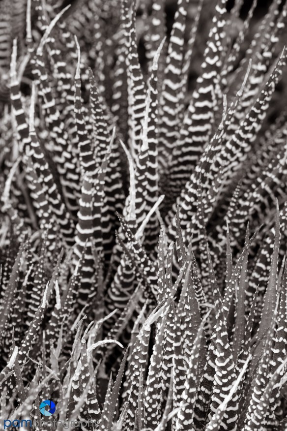 1604_MFA_Arizona_099