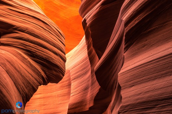 1604_MFA_Arizona_156-Edit