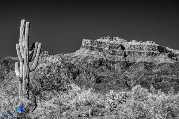 1604_MFA_Arizona_Infrared_015-Edit