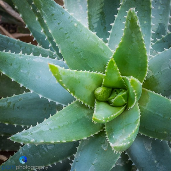 1604_PSA_Arizona_016