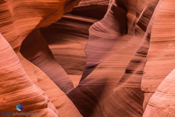 1604_PSA_Arizona_374