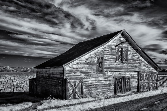 1412_MFA_Northern Cali Infrared_0372-Edit