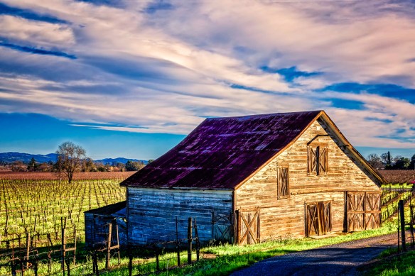 1412_MFA_Northern Cali_0271-Edit