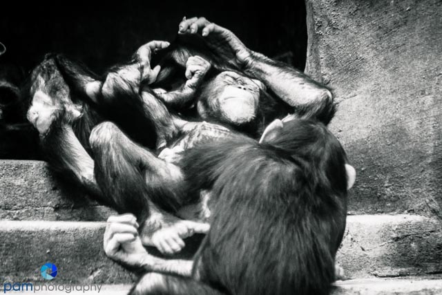 1605_MFA_Los Angeles_056