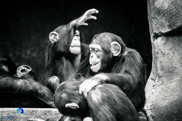 1605_MFA_Los Angeles_057