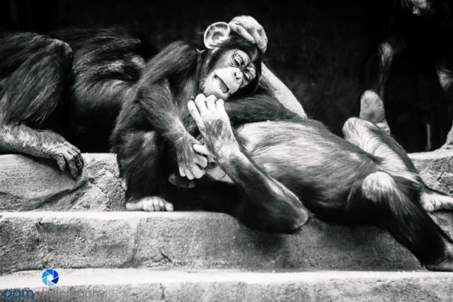 1605_MFA_Los Angeles_059